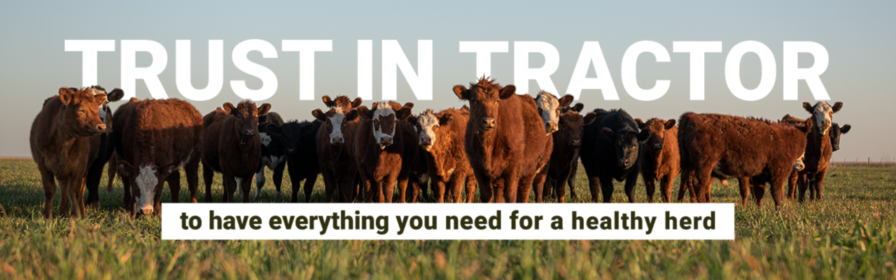 Trust in Tractor to have everything you need for a healthy herd